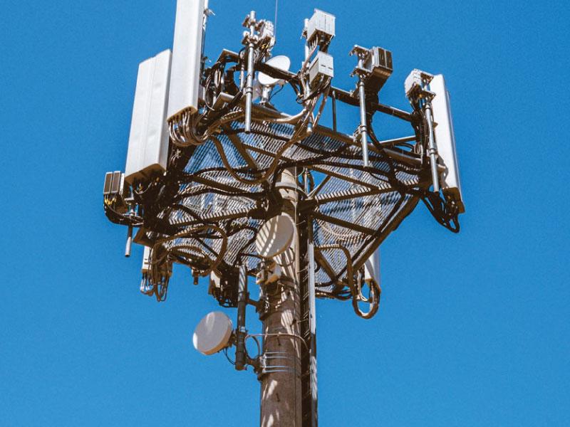 Monopole cell tower top with panel antennas and microwave dishes